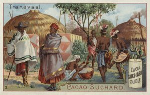 Transvaal